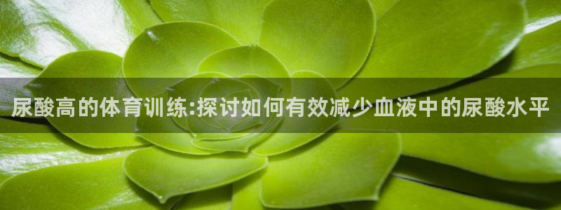 球客岛：尿酸高的体育训练:探讨如何有效减少血液中的尿酸水平