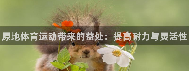 球客岛：原地体育运动带来的益处：提高耐力与灵活性