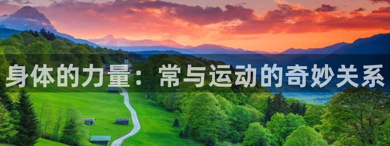 球客岛：身体的力量：常与运动的奇妙关系