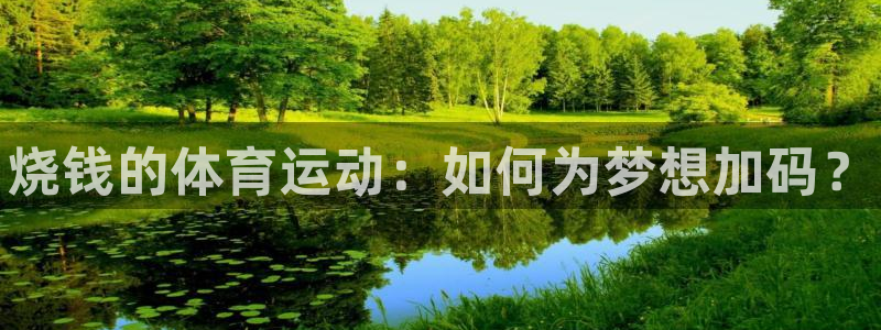 球客岛：烧钱的体育运动：如何为梦想加码？