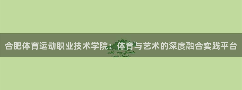 球客岛：合肥体育运动职业技术学院：体育与艺术的深度融合实践平台