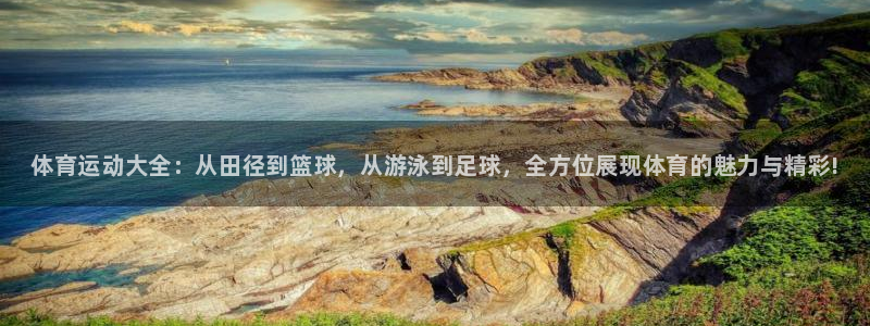 球客岛：体育运动大全：从田径到篮球，从游泳到足球，全方位展现体育的魅力与精彩!