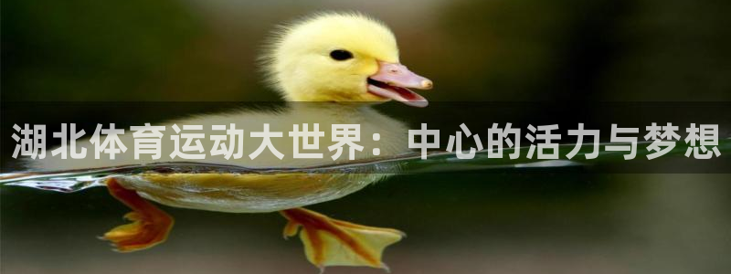球客岛：湖北体育运动大世界：中心的活力与梦想
