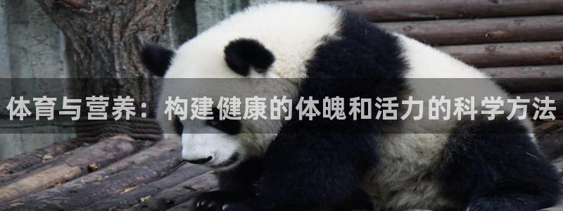 球客岛：体育与营养：构建健康的体魄和活力的科学方法