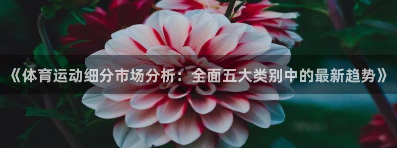 球客岛：《体育运动细分市场分析：全面五大类别中的最新趋势》