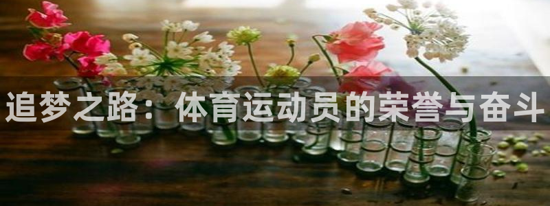 球客岛：追梦之路：体育运动员的荣誉与奋斗