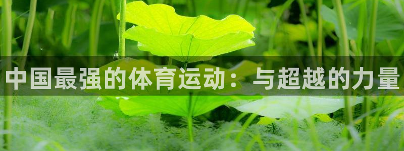 球客岛：中国最强的体育运动：与超越的力量