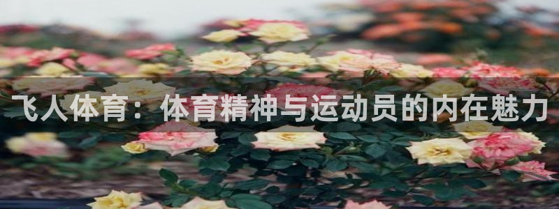 球客岛：飞人体育：体育精神与运动员的内在魅力
