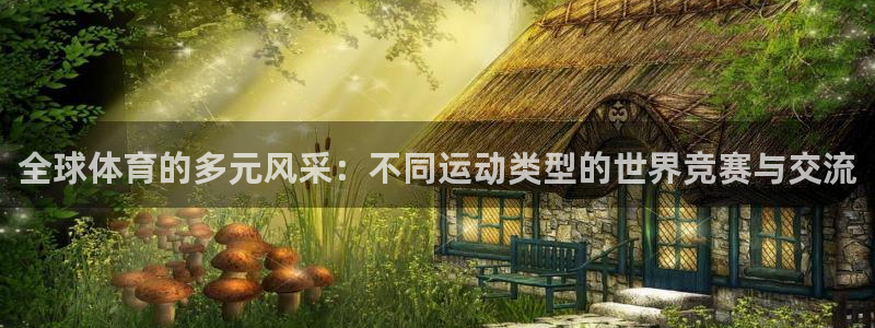 球客岛：全球体育的多元风采：不同运动类型的世界竞赛与交流