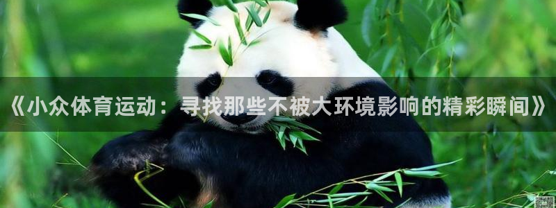 球客岛：《小众体育运动：寻找那些不被大环境影响的精彩瞬间》