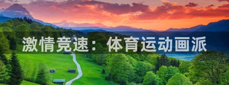 球客岛：激情竞速：体育运动画派