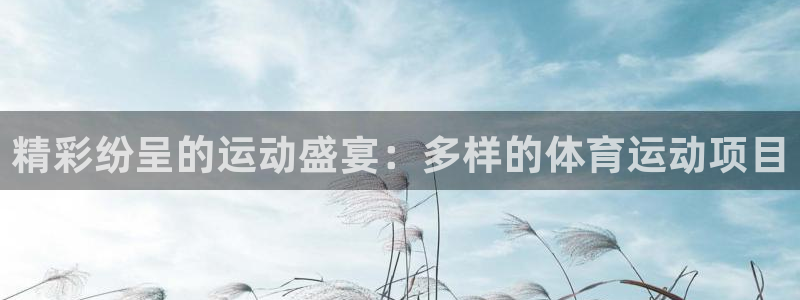 球客岛：精彩纷呈的运动盛宴：多样的体育运动项目