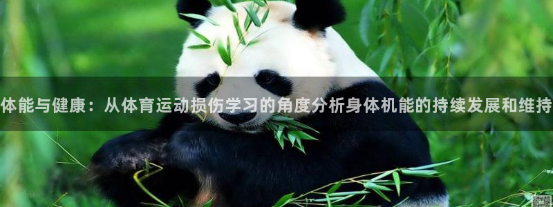 球客岛：体能与健康：从体育运动损伤学习的角度分析身体机能的持续发展和维持