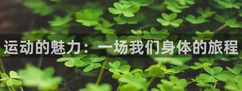 球客岛：运动的魅力：一场我们身体的旅程