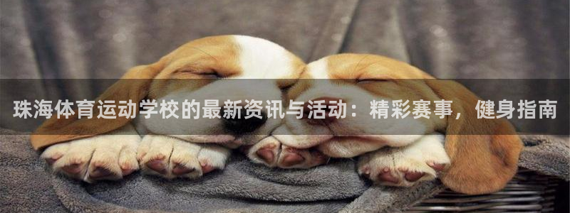 球客岛：珠海体育运动学校的最新资讯与活动：精彩赛事，健身指南