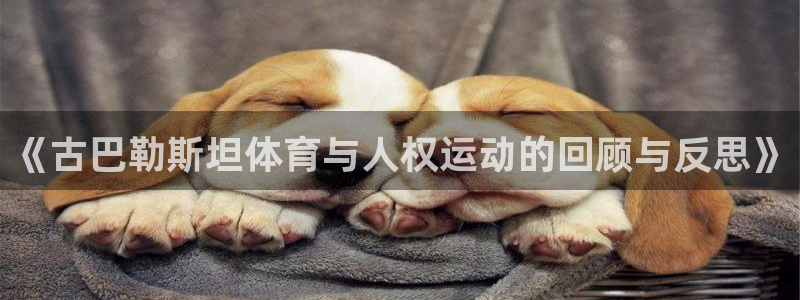 球客岛：《古巴勒斯坦体育与人权运动的回顾与反思》