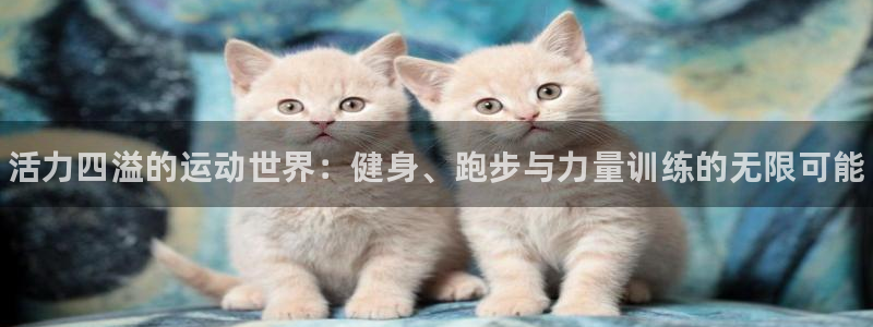 球客岛：活力四溢的运动世界：健身、跑步与力量训练的无限可能