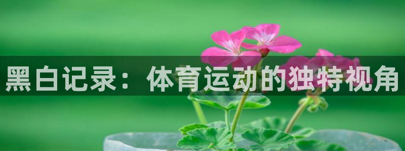 球客岛：黑白记录：体育运动的独特视角