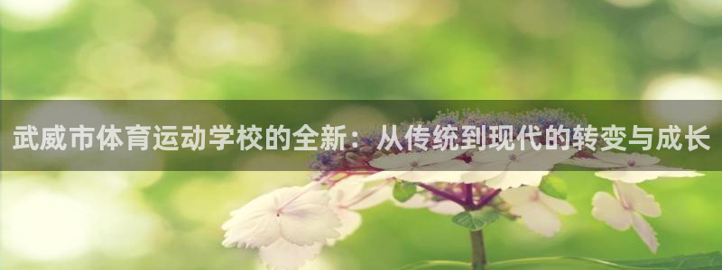 球客岛：武威市体育运动学校的全新：从传统到现代的转变与成长