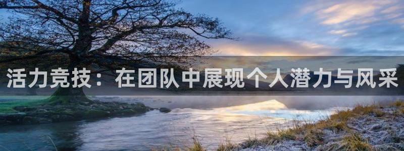 球客岛：活力竞技：在团队中展现个人潜力与风采