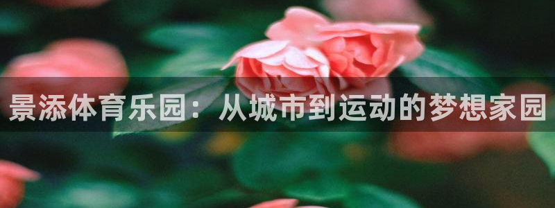 球客岛：景添体育乐园：从城市到运动的梦想家园